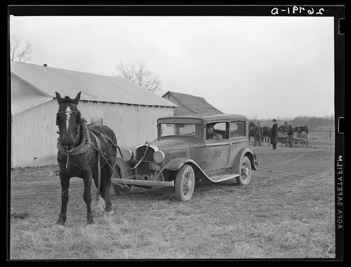 Emergency mule power. Franklin County, Illinois