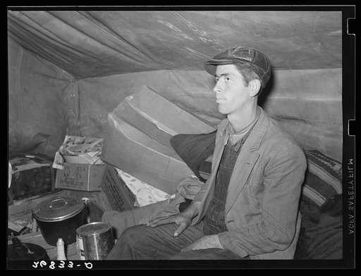 Evicted sharecropper in tent along Highway Number 60. New Madrid County, Missouri
