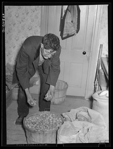 Unemployed mine worker. Bush, Illinois