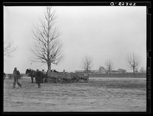 Farmers' wagons near community store. Southeast Missouri Farms