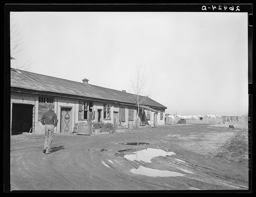 Family living in tool shed of Western Coal Company mine number two. Franklin County, Illinois
