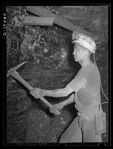 Miner breaking coal off the face. Old Ben number eight. West Frankfort, Illinois (see 26980-D)
