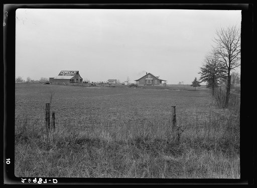 Farm. Williamson County, Illinois