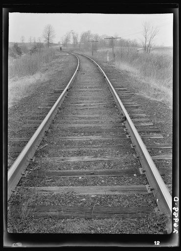 Railroad tracks. Williamson County, Illinois
