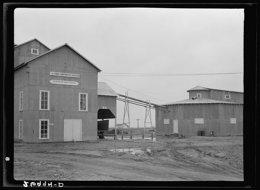 Cotton gin. Southeast Missouri Farms