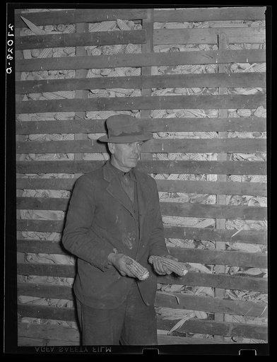 Untitled photo, possibly related to: Tenant purchase client with overflowing corn crib. Saline County, Illinois