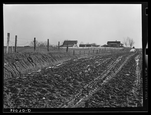 Rural road. Saline County, Illinois