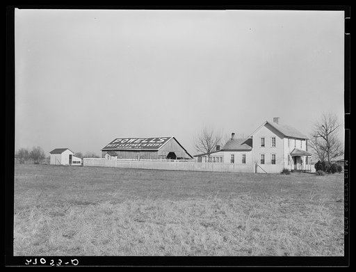 Farm. Williamson County, Illinois