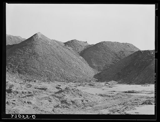 Effect of strip mining on land. Carterville, Illinois