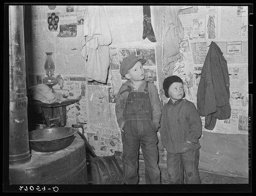 Rehabilitation Administration client's sons. Gallatin County, Illinois