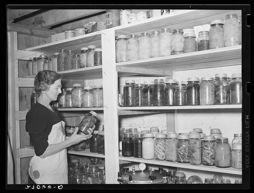 Wife of tenant purchase client with canned goods. Saline County, Illinois (see 27031-D)