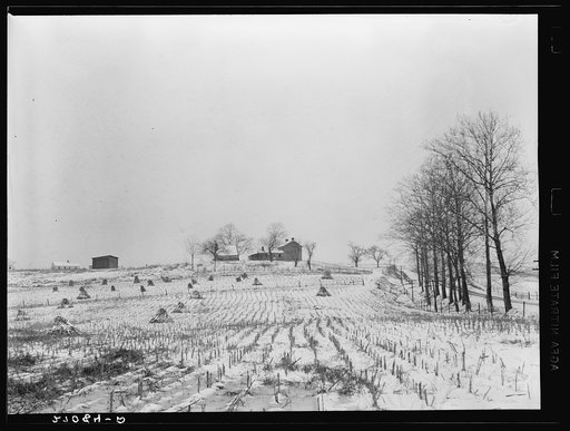 Farmland. Ross County, Ohio