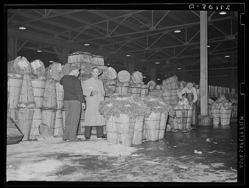 Commission buyers looking at green vegetables at produce market. Pier 29, New York City