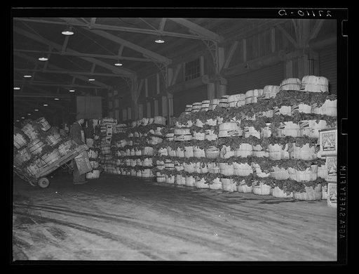 Crates of spinach in produce market at Pier 29. New York City