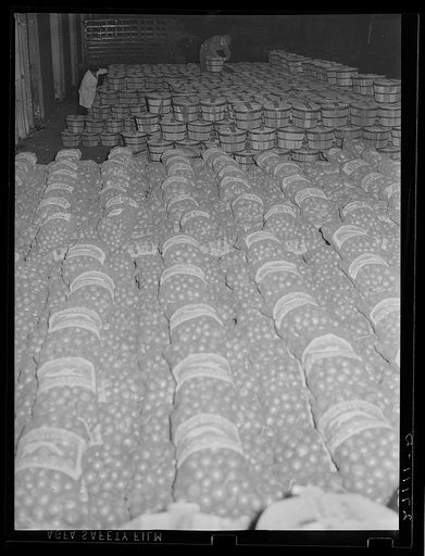 Sacks of onions and baskets of apples at produce market on Pier 29. New York City