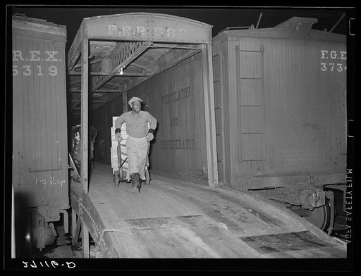 Unloading oranges from car-floats onto produce piers. Pier 29, New York City
