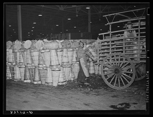 Loading crates of cabbages at produce market. Pier 29, New York City