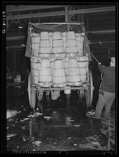 Commission merchant loading crates of cabbages at produce market. Pier 29, New York City