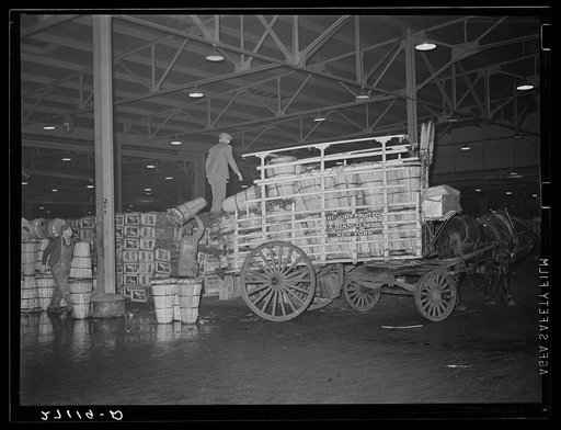 Commission buyer loading crates of cabbage at produce market. Pier 29, New York City