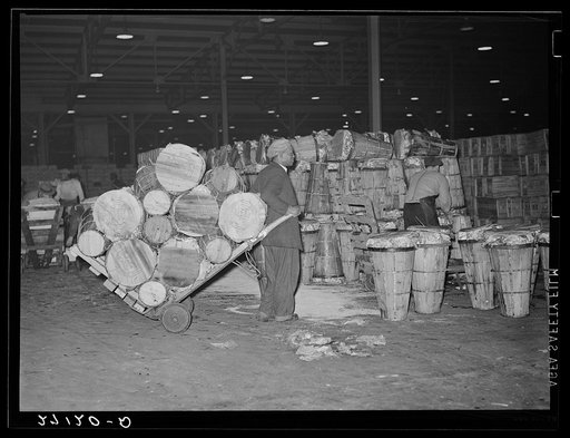 Unloading crates of cabbages at produce market. Pier 29, New York City
