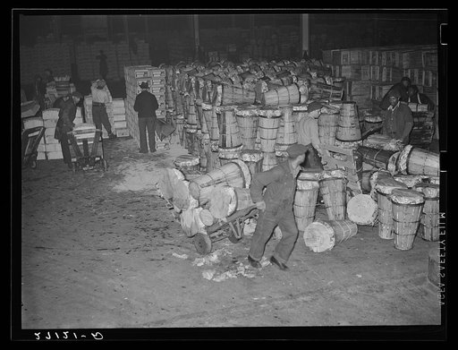 Unloading crates of cabbages at produce market, pier 29, New York City