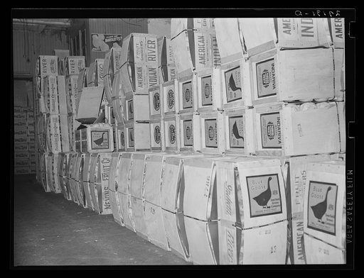Loading green vegetables at produce market. Pier 29, New York City