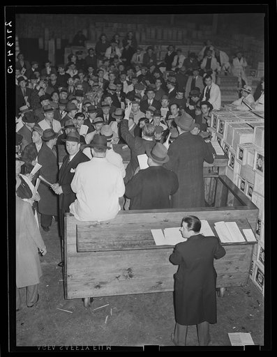 Oranges at produce market. Pier 29, New York City