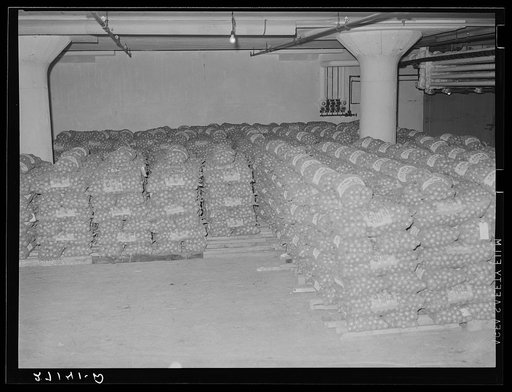 Cold storage warehouse onions. Jersey City, New Jersey. Onions are kept in "cooler room"