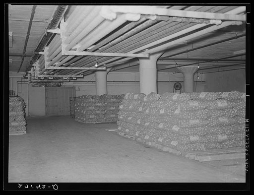 Cold storage warehouse onions. Jersey City, New Jersey. Onions are kept in "cooler room"