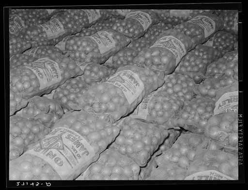 Onions in cold storage warehouse. Jersey City, New Jersey. They are kept in "cooler room"