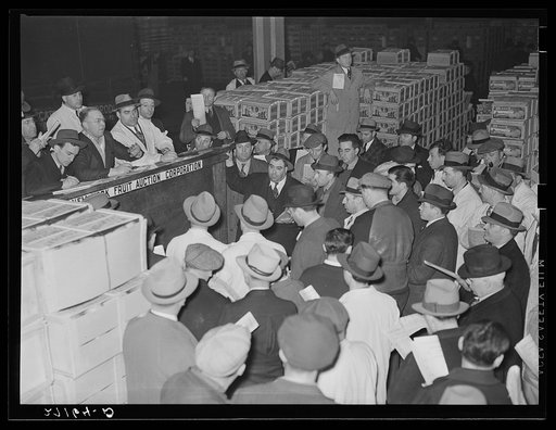 Auction at produce market. Pier 29, New York City