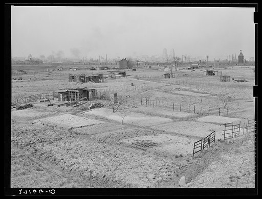 Gardens for the unemployed. Newark, New Jersey. City dump ("Jersey Meadows"). Squatters' houses