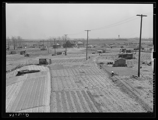 Gardens for the unemployed. Newark, New Jersey. Squatters' houses in Jersey Meadows on city dump