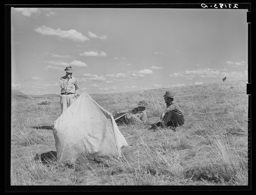 Untitled photo, possibly related to: Sheepherders and lambing tents. Madison County, Montana
