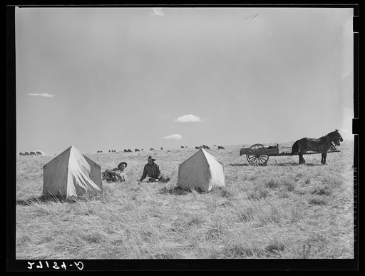 Sheepherders and lambing tents. Madison County, Montana