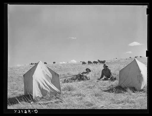 Sheepherders watching tents in which ewes give birth to lambs. Madison County, Montana