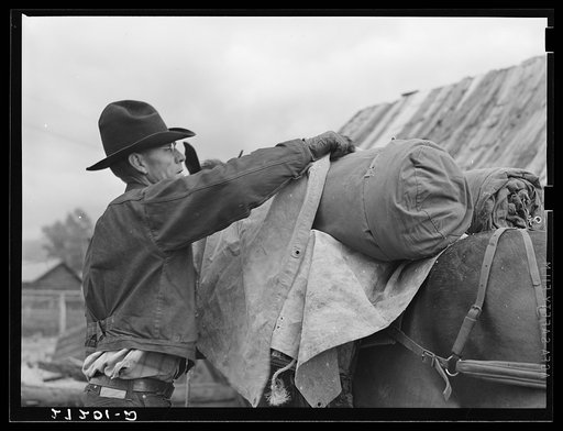 Untitled photo, possibly related to: Packing a horse. Bozeman, Montana