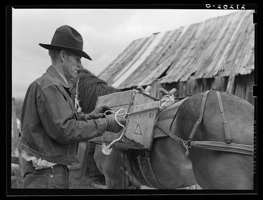 Packing a horse. Bozeman, Montana