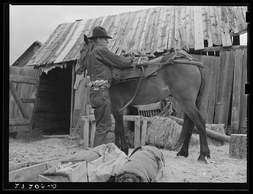 Packing a horse. Bozeman, Montana