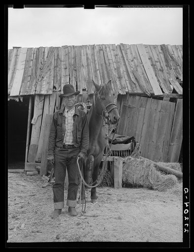 Untitled photo, possibly related to: Packing a horse. Bozeman, Montana