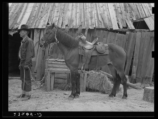 Packing a horse. Bozeman, Montana