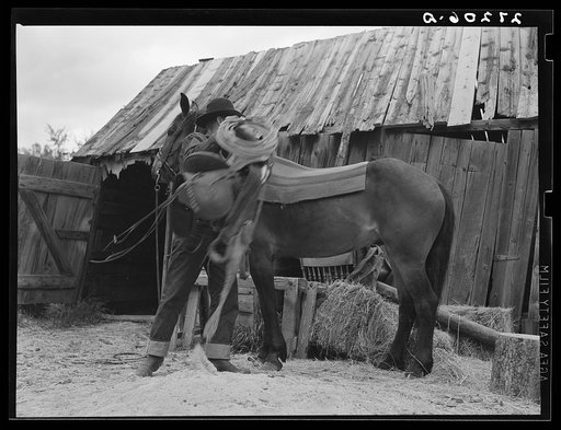 Untitled photo, possibly related to: Packing a horse. Bozeman, Montana