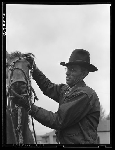 Untitled photo, possibly related to: Packing a horse. Bozeman, Montana