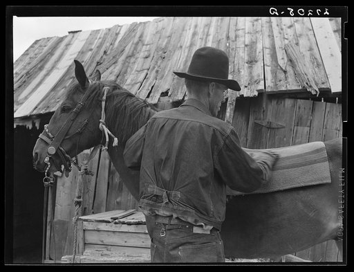 Packing a horse. Bozeman, Montana