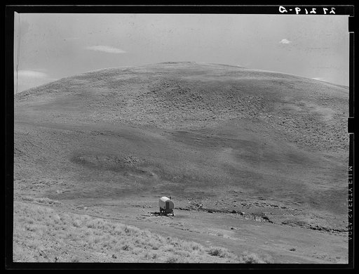 Sheepherders camp. Madison County, Montana