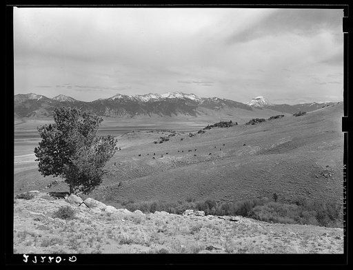 Madison Range. Montana