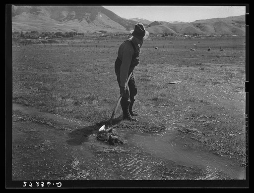 Irrigating a pasture. Gallatin Valley, Montana