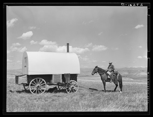 Sheepherder at his chuckwagon. Madison County, Montana