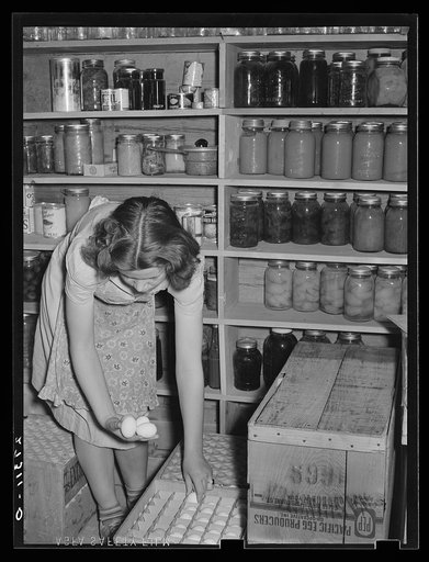 Farmers' daughter in storage cellar. Fairfield Bench Farms, Montana