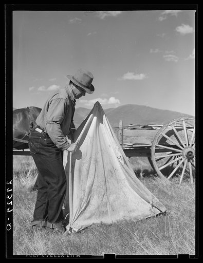 Sheepherder setting up lambing tent. Montana, Madison County